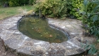 Stansted Mountfitchet Essex pond clean