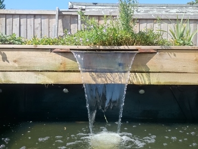 Southend Essex pond clean