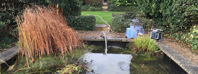 Pond Cleaning