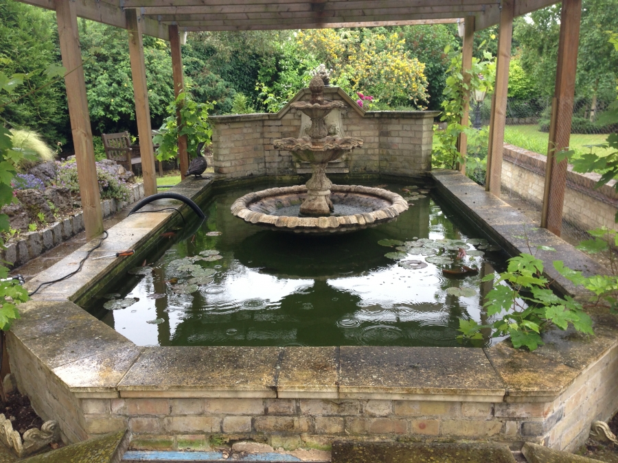 Pond Cleaning