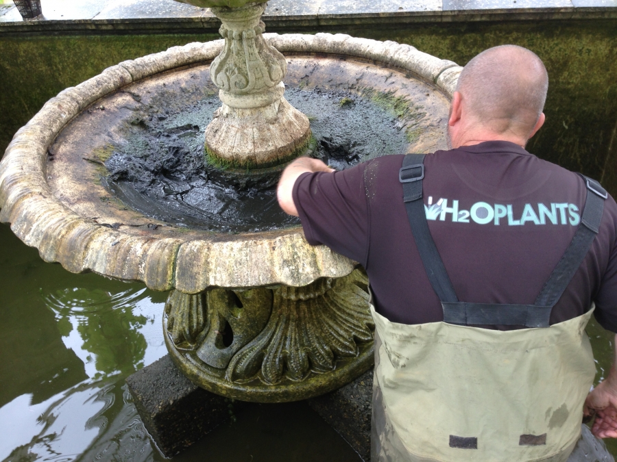 Pond Cleaning