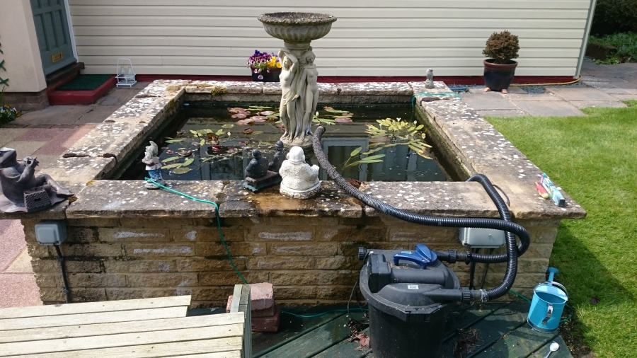 Pond Cleaning