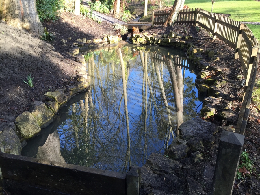 Pond Cleaning