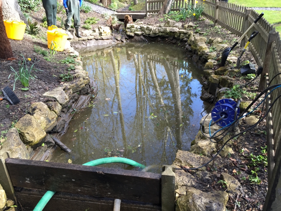 Pond Cleaning