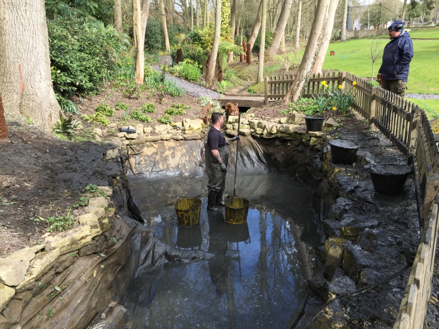 Pond Cleaning