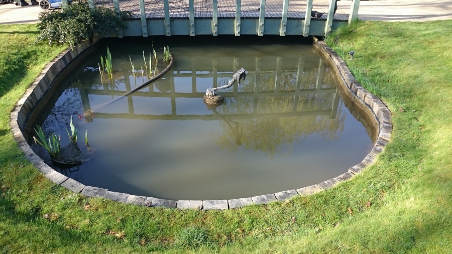 Pond Cleaning