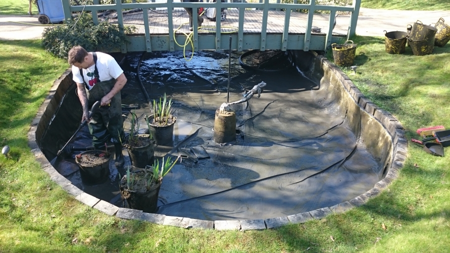 Pond Cleaning