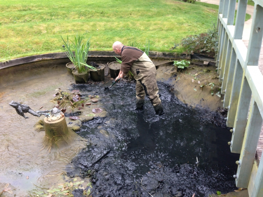 Pond Cleaning