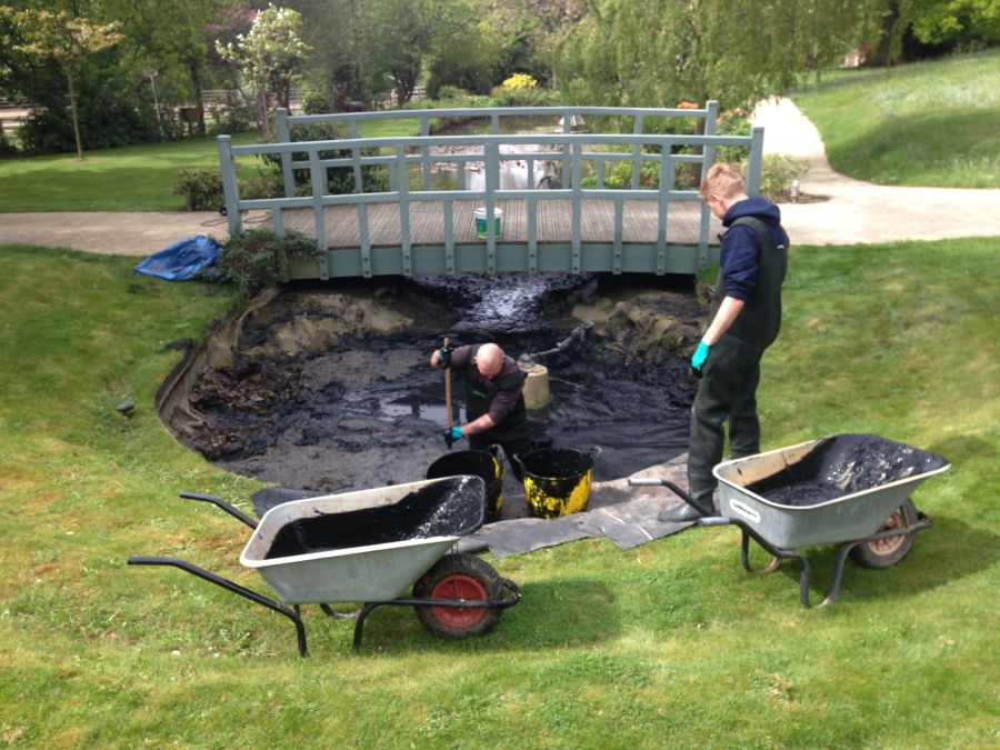 Pond Cleaning