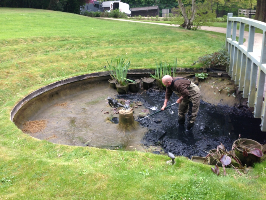 Pond Cleaning