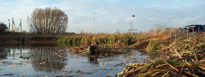 Aquatic Weed Control