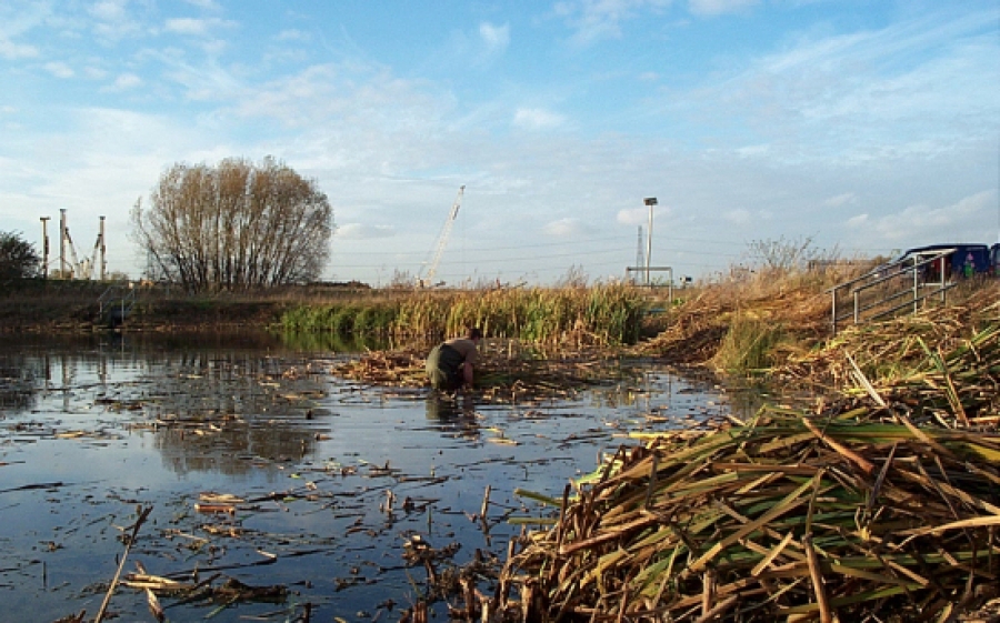 Aquatic Weed Control