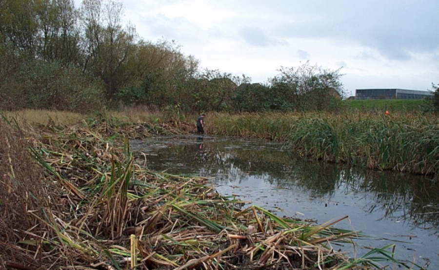 Aquatic Weed Control