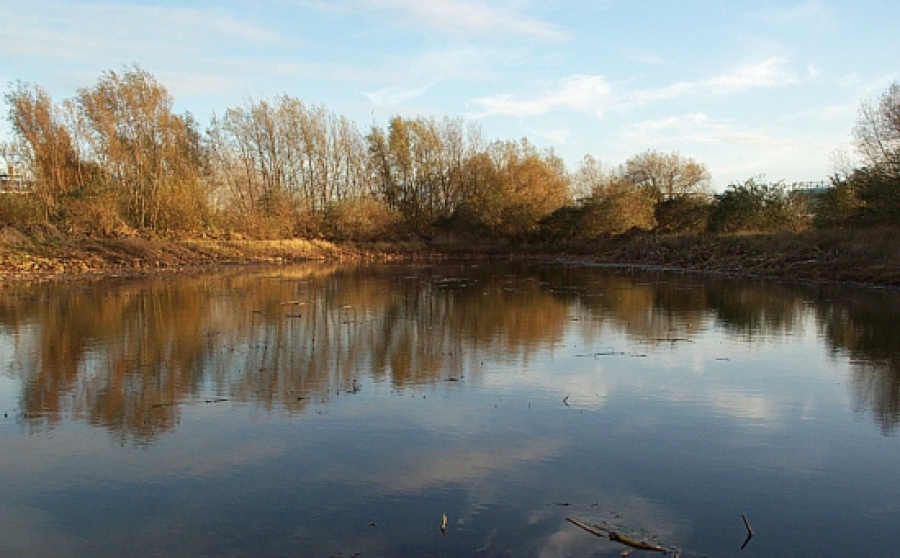 Aquatic Weed Control