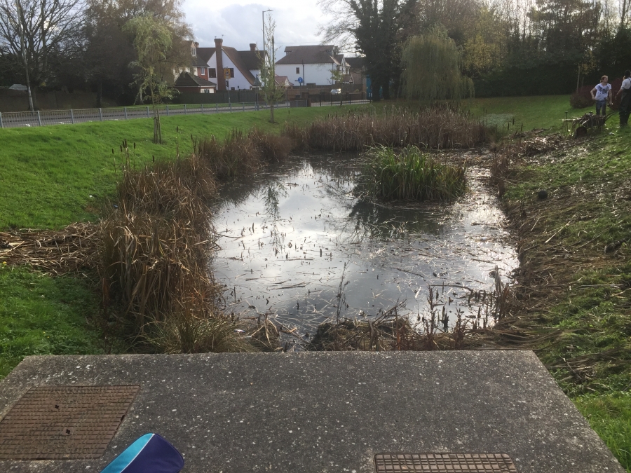 Aquatic Weed Control