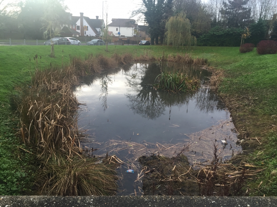 Aquatic Weed Control