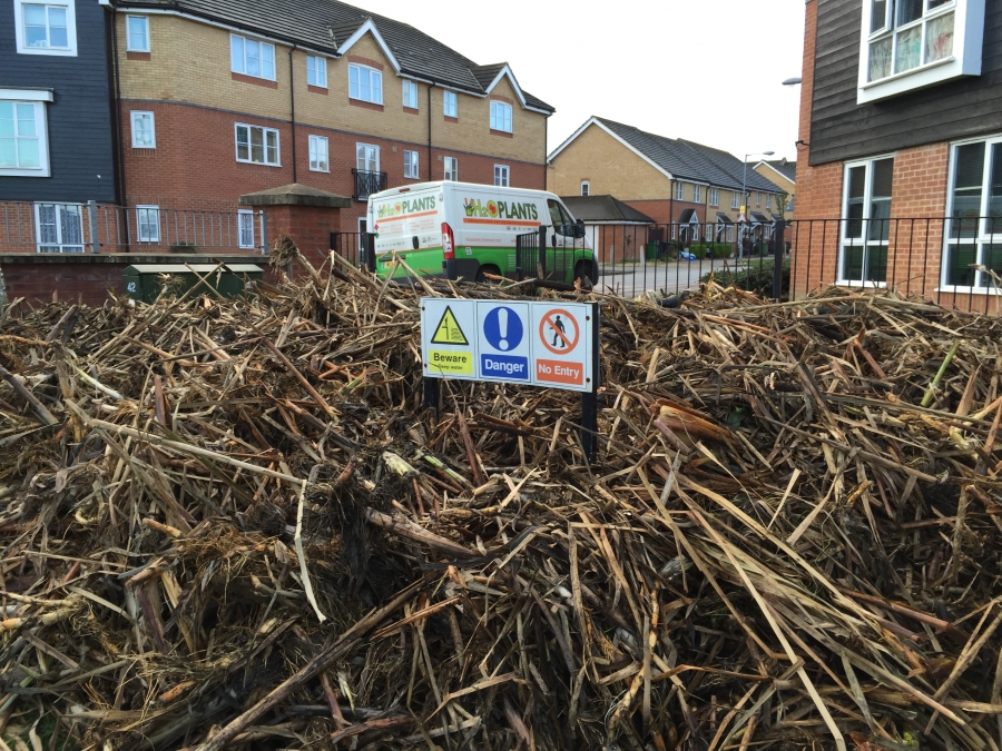 Aquatic Weed Control