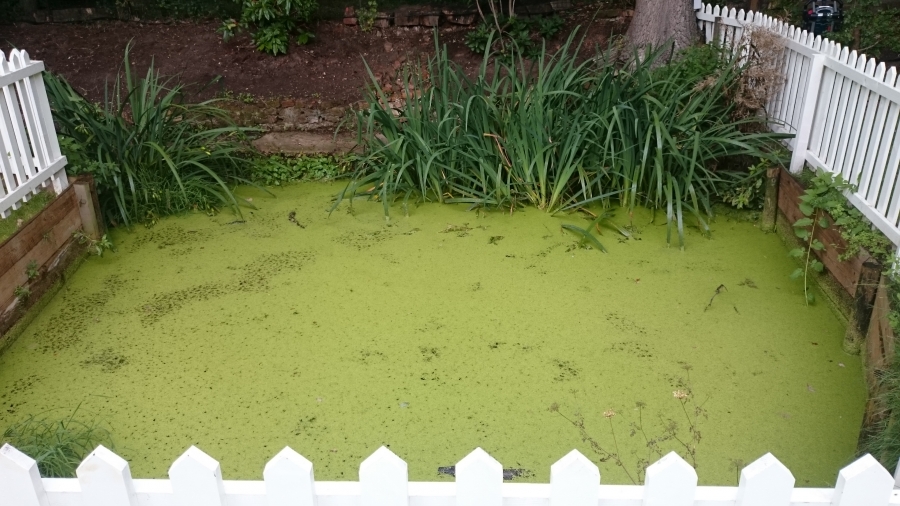 Pond, Lake and fishery aeration