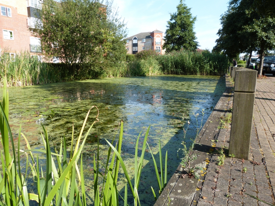 Pond, Lake and fishery aeration