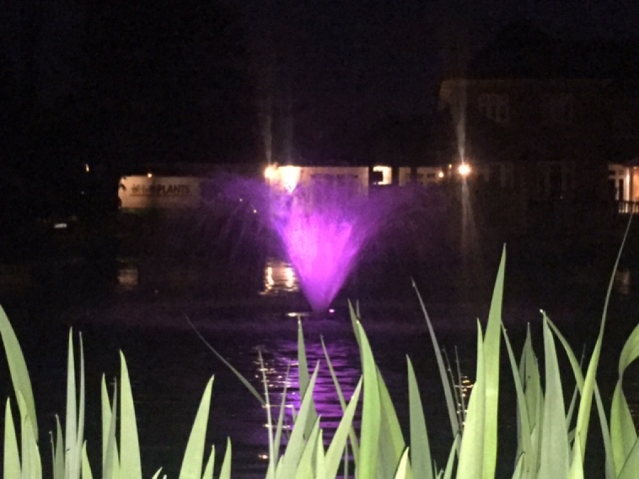 Pond, Lake and fishery aeration