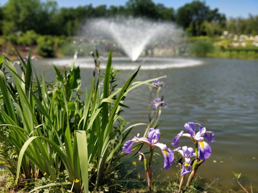 Pond, Lake and fishery aeration