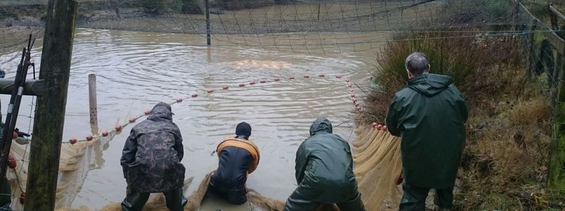 Pond, Lake and Fishery Maintenance & Management Pond, Lake and Fishery Maintenance & Management