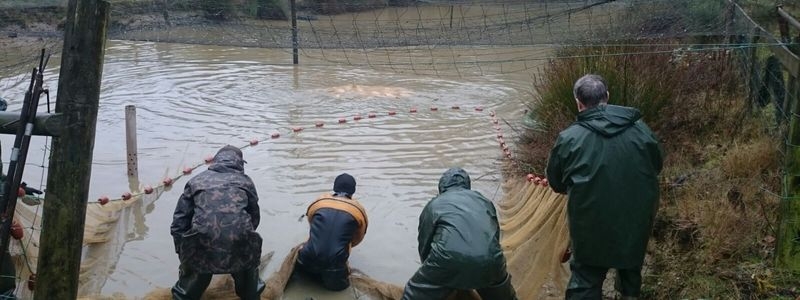 Pond, Lake and Fishery Maintenance & Management