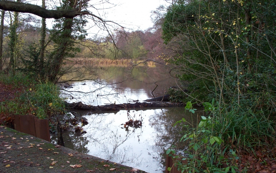 Pond, Lake and Fishery Maintenance & Management