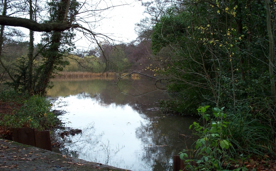 Pond, Lake and Fishery Maintenance & Management