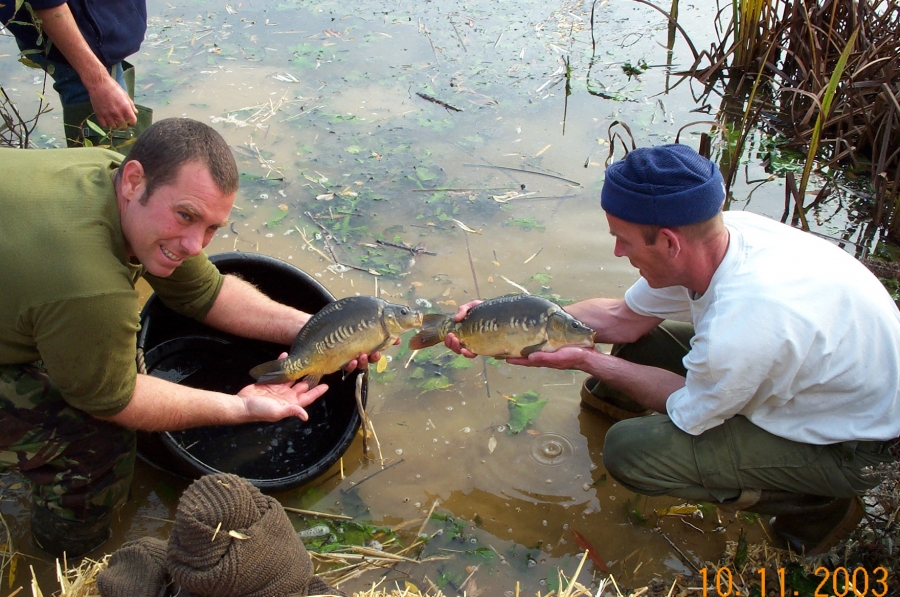 Pond, Lake and Fishery Maintenance & Management