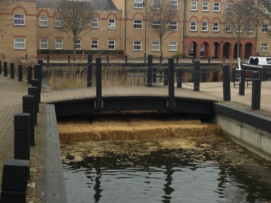 Pond, Lake and Fishery Maintenance & Management