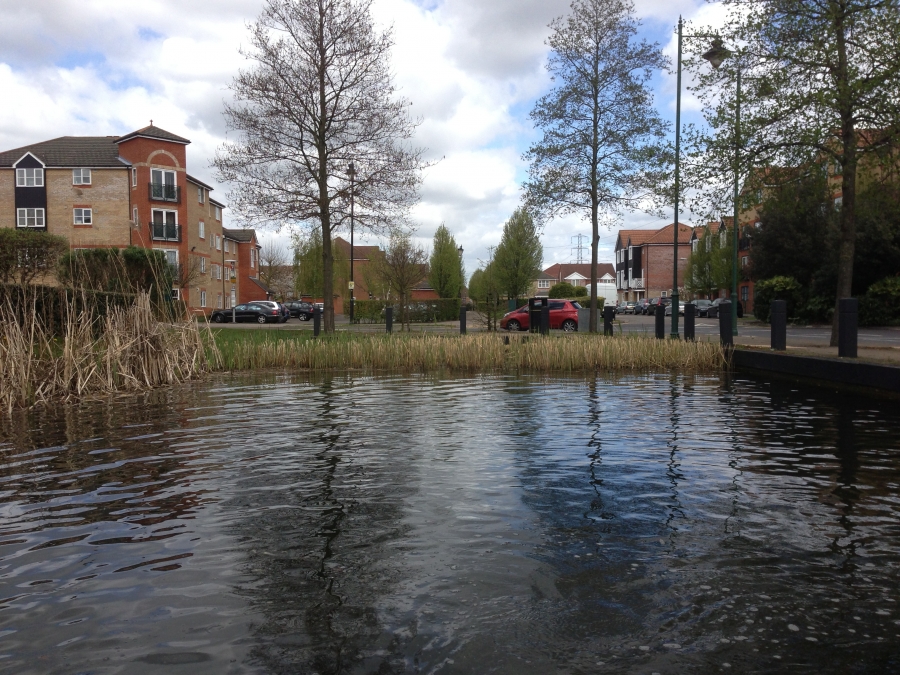 Pond, Lake and Fishery Maintenance & Management