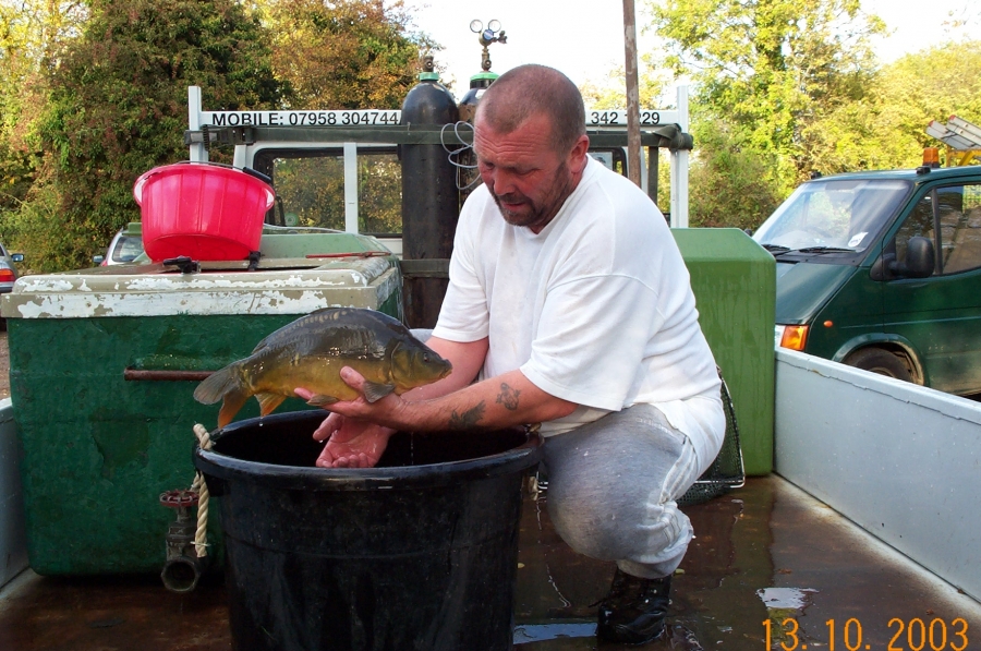 Fish Transportation