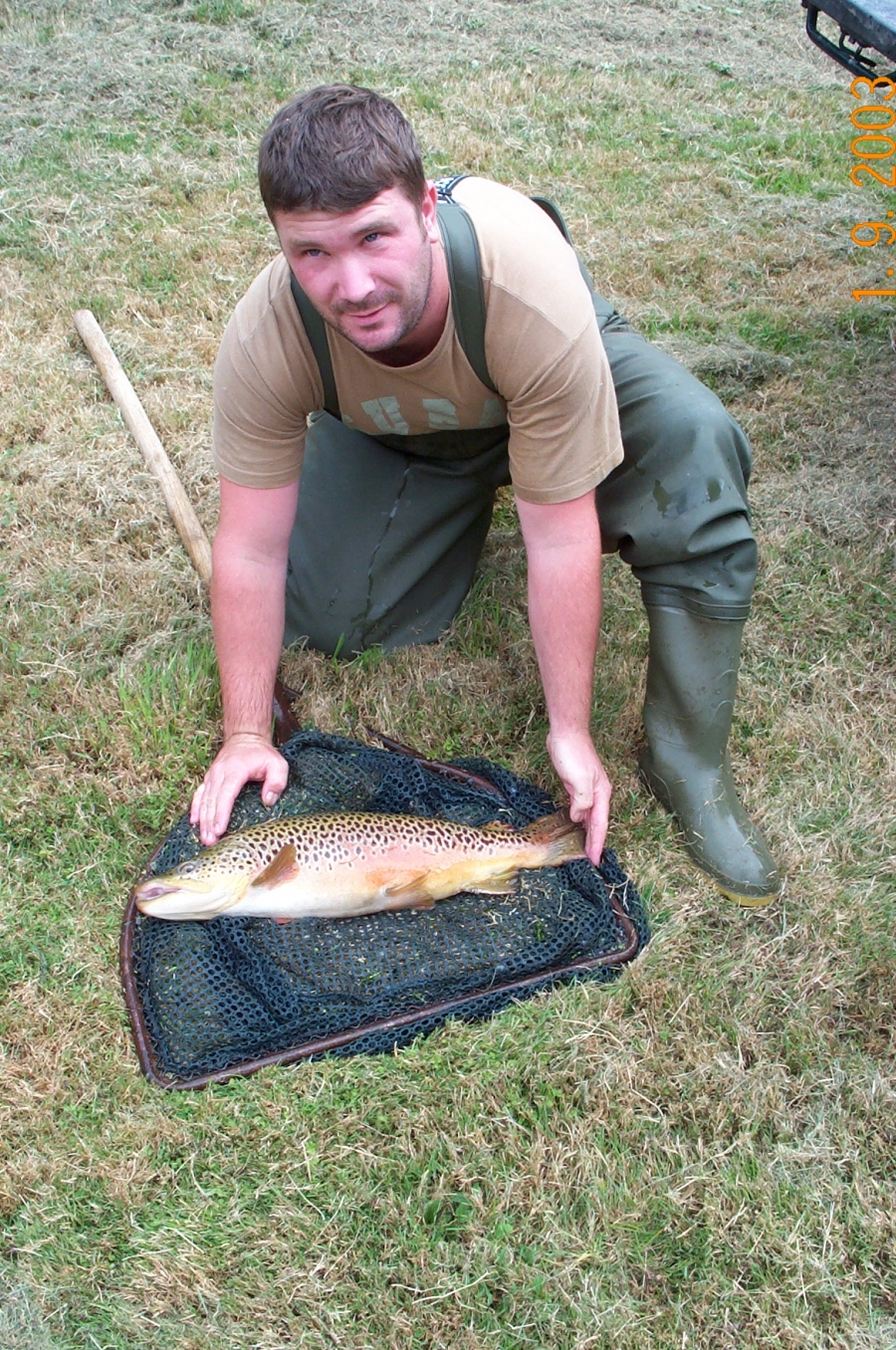 Fish Transportation