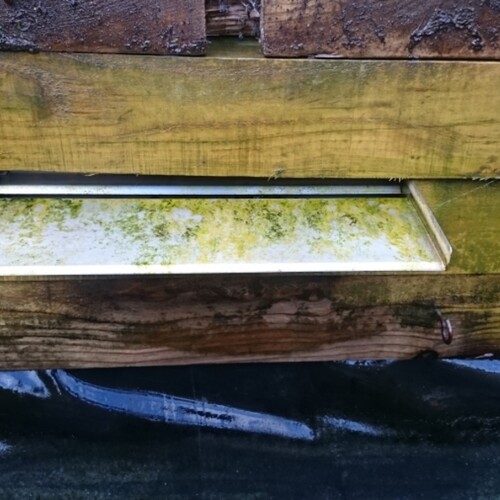 Untitled image