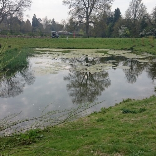 Untitled image