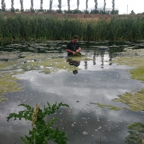 Untitled image