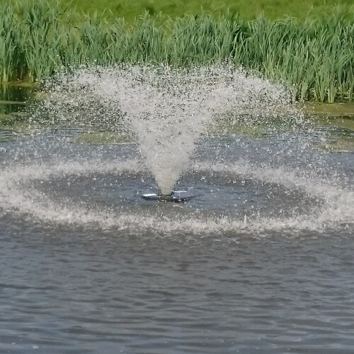 Untitled image