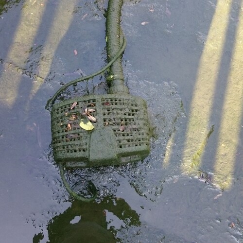 Untitled image