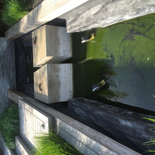 Untitled image