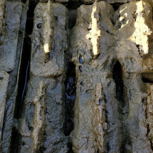 Untitled image