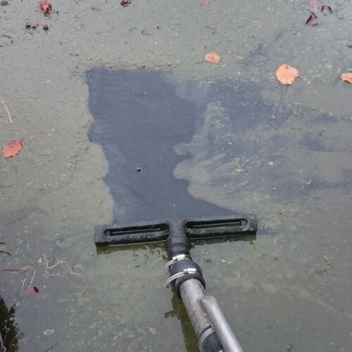Untitled image