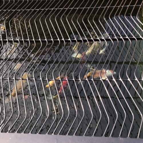 Untitled image