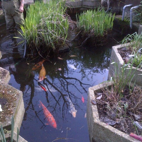 Untitled image