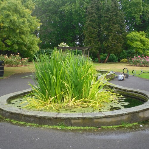 Untitled image