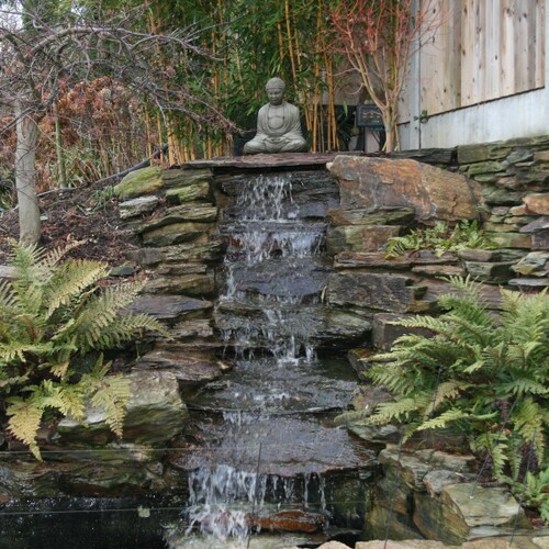 Untitled image