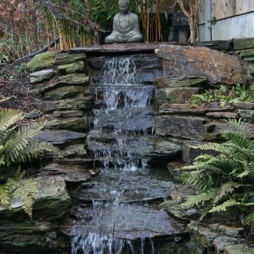 Untitled image