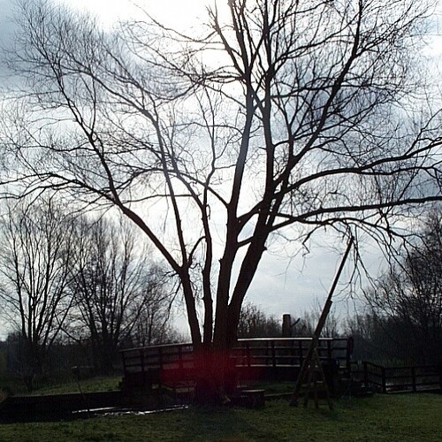 Untitled image