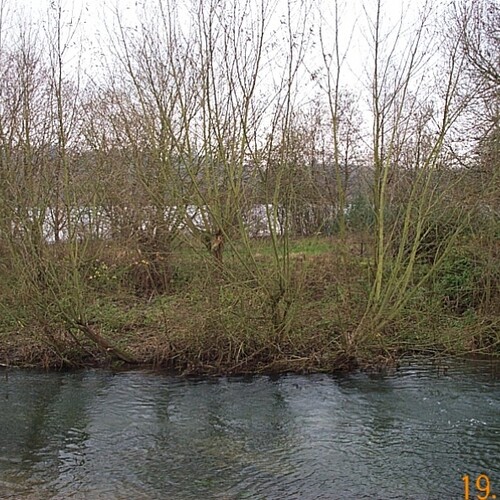 Untitled image
