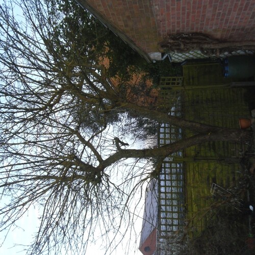 Untitled image